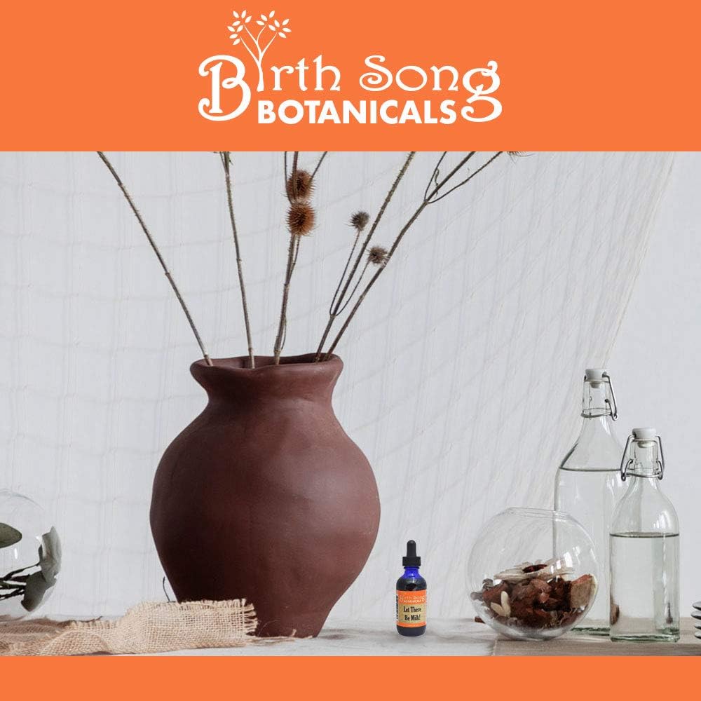 birth-song-botanicals-let-there-be-milk--6.jpg