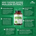 zazzee-extra-strength-mullein-101-extrac-6.jpg