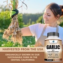 american-standard-supplements-garlic-240-4.jpg