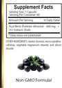 acai-berry-extract---superfood-from-chil-5.jpg