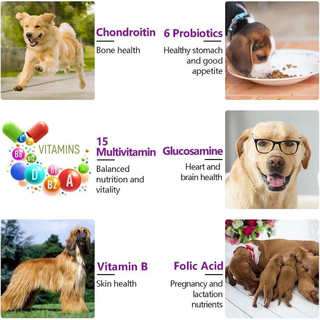 15-in-1-dog-multivitamin-supplements-wit-5.jpg