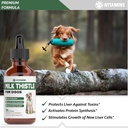 milk-thistle-for-dogs-supports-liver-and-3.jpg