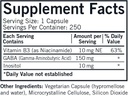kirkman---gaba-with-niacinamide-inositol-2.jpg