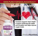 forskolin-for-weight-loss-250mg-500mg-ma-4.jpg