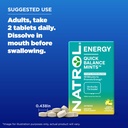 natrol-quick-balance-energy-mints-energy-5.jpg