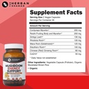 mushroom-supplement-energy-support-organ-5.jpg