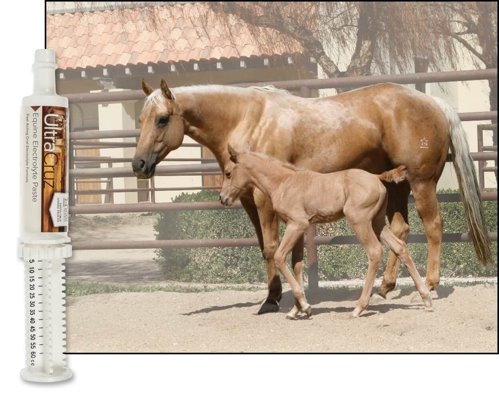ultracruz-sc-516041-equine-electrolyte-s-4.jpg