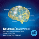 nanowell-neuroxall-brain-factors---cogni-5.jpg