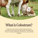grass-fed-bovine-colostrum-supplement-fo-4.jpg