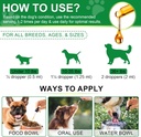 antibiotics-for-dogsnatural-antibiotics--5.jpg