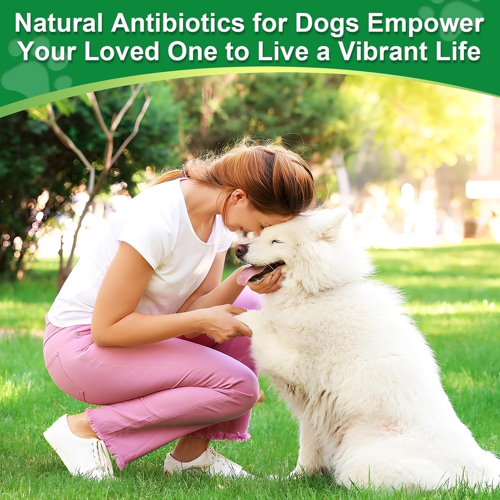 antibiotics-for-dogsnatural-antibiotics--6.jpg