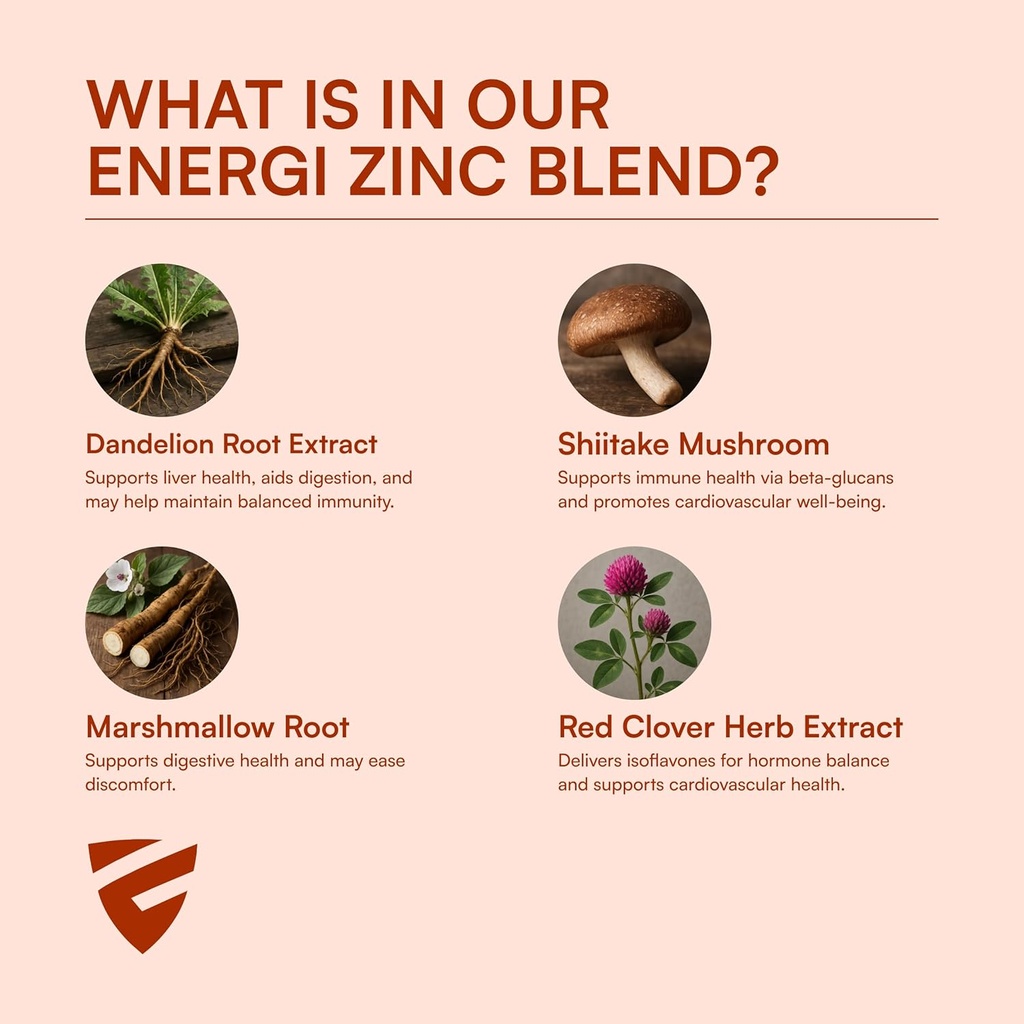 energi-zinc-blend-with-vitamin-a-b-3-b-6-6.jpg