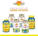 zand-natures-life-nettle-root-power-450m-4.jpg
