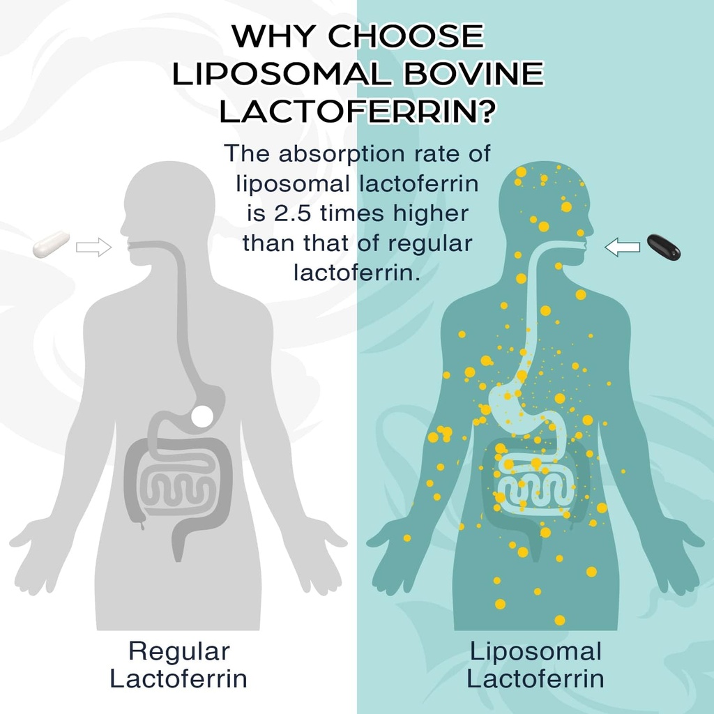 liposomal-bovine-lactoferrin-1000-mg---f-6.jpg