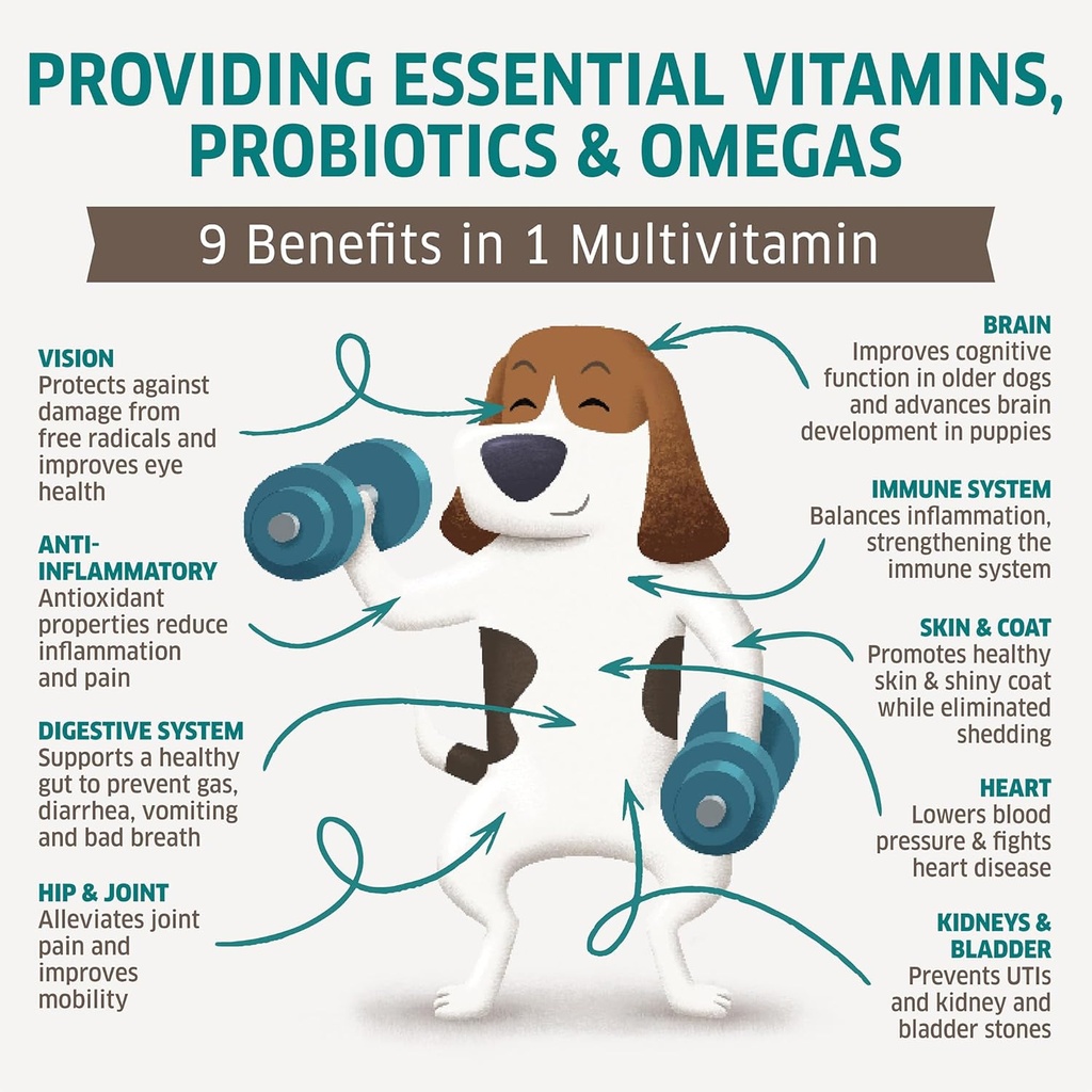 dog-multivitamin---dog-vitamins-and-supp-3.jpg