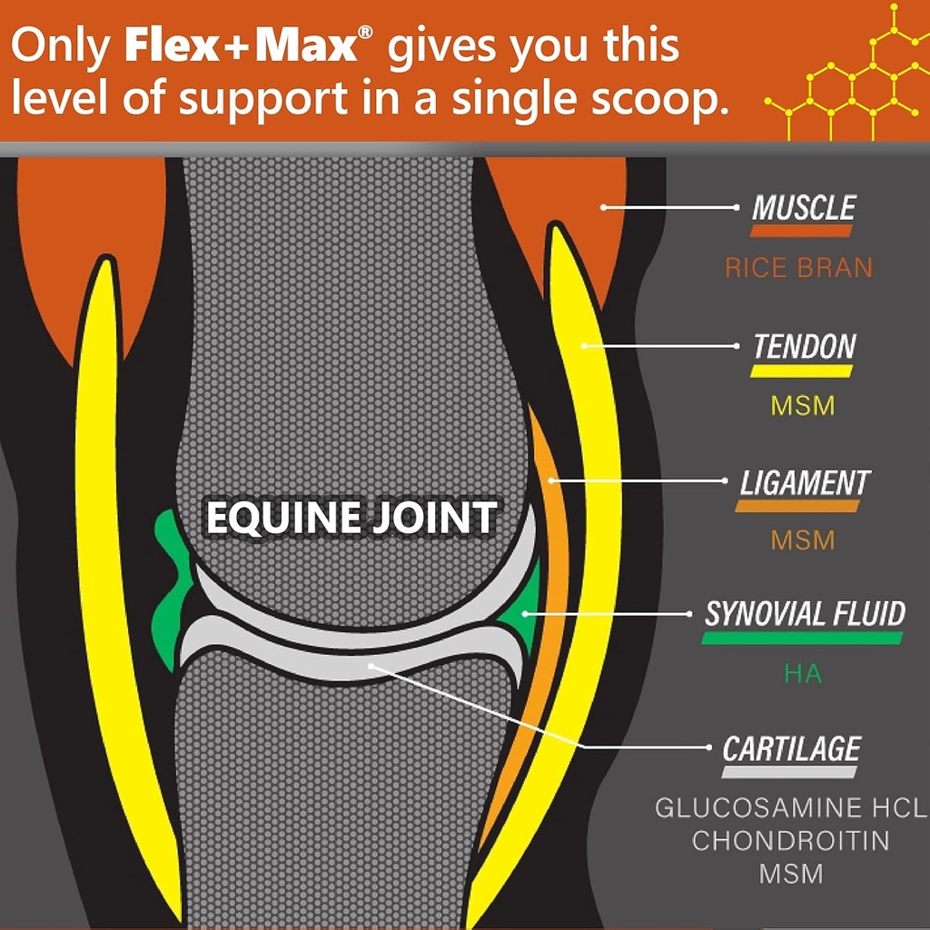absorbine-flexmax-horse-joint-supplement-2.jpg