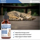 cat-multivitamin---supports-immune-healt-3.jpg