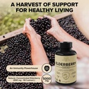 elderberry-with-vitamin-c-zinc-ginger-po-4.jpg