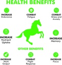equine-pre-workout-calming-horse-vitamin-5.jpg