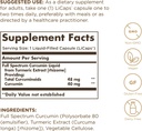 solgar-full-spectrum-curcumin-liquid-ext-3.jpg