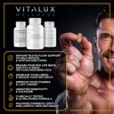 vitalux-1-dosed-premium-erection-support-4.jpg