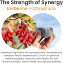 diaberine-berberine-hcl-supplement-suppo-5.jpg