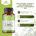 organic-veda-amla-fruit-capsules-20-x-co-6.jpg