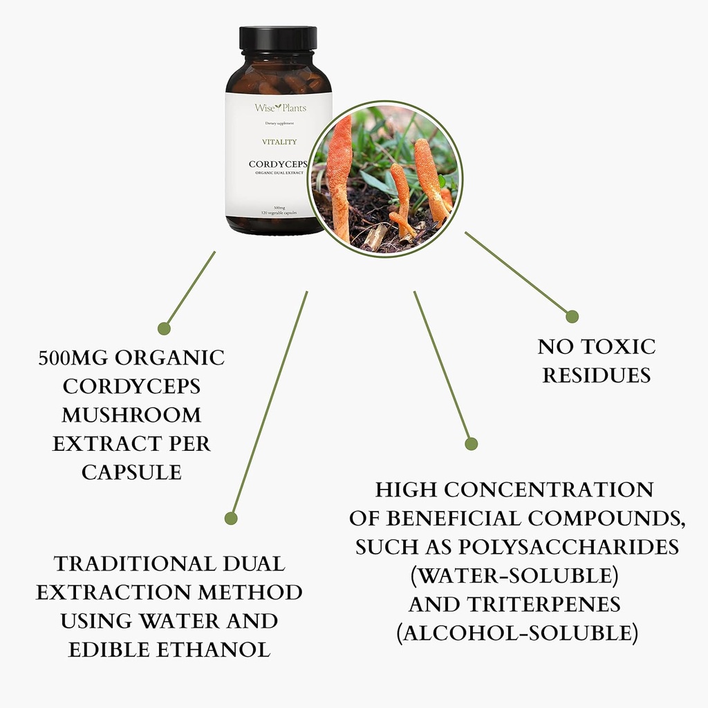 cordyceps-mushroom-supplement-dual-extra-4.jpg