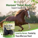 silver-lining-herbs-total-body-horse-sup-6.jpg