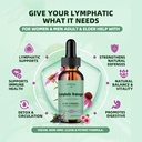 greenpeople-lymphatic-drainage-drops---1-4.jpg