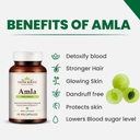 amla-capsules-100-organic-immunity-enhan-4.jpg