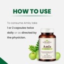 amla-capsules-100-organic-immunity-enhan-5.jpg