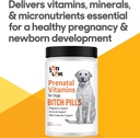 bitch-pills-powder-form---prenatal-vitam-5.jpg