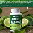 25x-concentrated-citrus-bergamot-extract-3.jpg