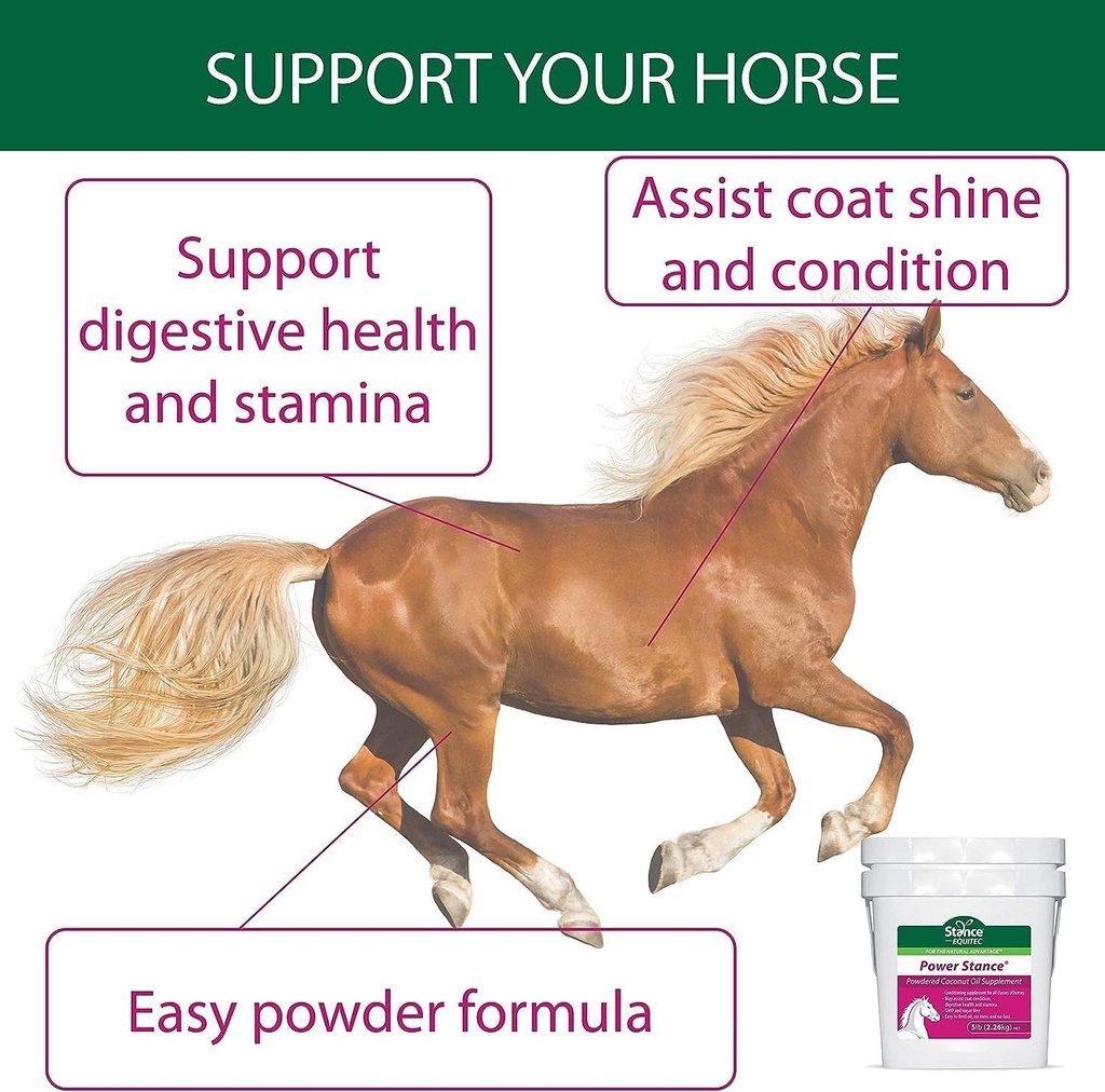 stance-power-powdered-coconut-oil-horse--4.jpg