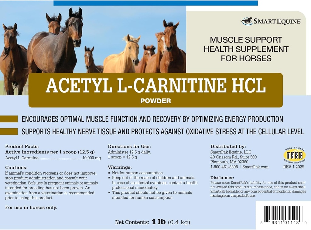 acetyl-l-carnitine-hcl-powder-horse-ener-2.jpg