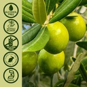 natures-answer-olive-leaf-extract-alcoho-5.jpg