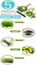 pure-neem-powder-leaves-for-eating-drink-4.jpg
