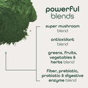 zena-nutrition-organic-super-greens-powd-6.jpg