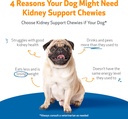 pet-wellbeing-kidney-support-chewies-for-3.jpg