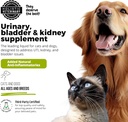 cat-dog-urinary-tract-treatment-bladder--5.jpg