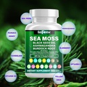 sea-moss-7000mg---black-seed-oil-2000mg--4.jpg