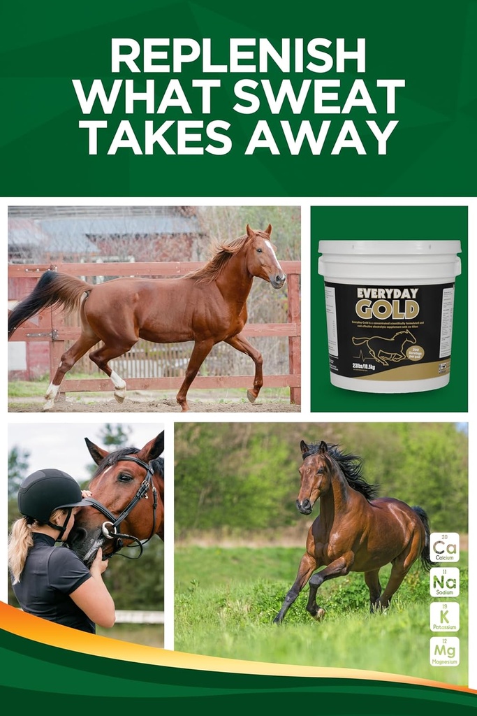 trm-everyday-gold-electrolyte-horse-supp-5.jpg