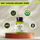 amla-120-tablets-usda-organic-indian-goo-6.jpg