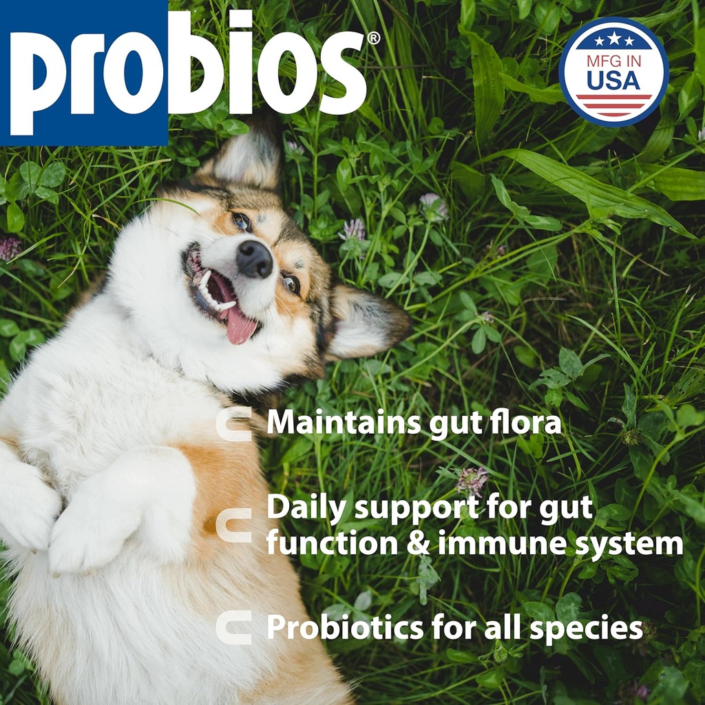 probios-digestive-support-probiotic-for--2.jpg