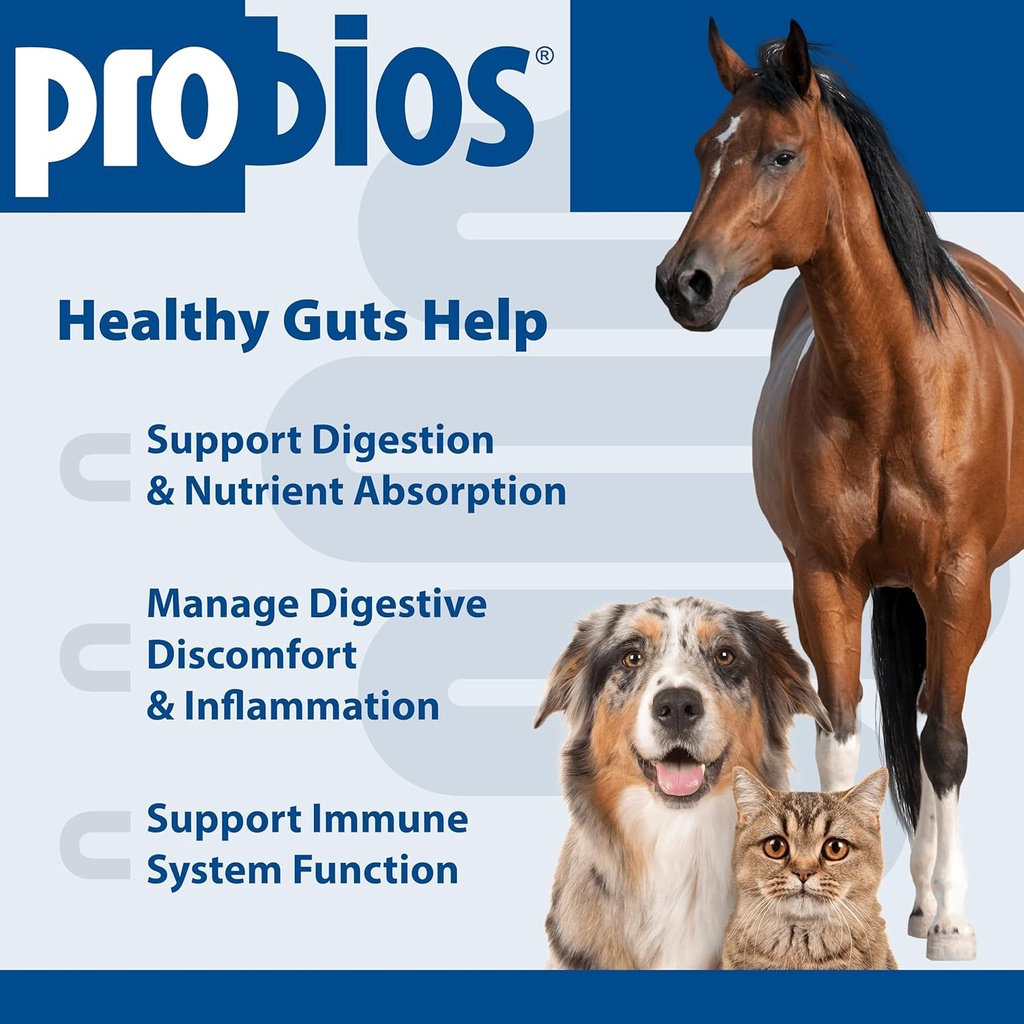 probios-digestive-support-probiotic-for--3.jpg