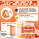 berberine-gummies-sugar-free-extra-absor-3.jpg