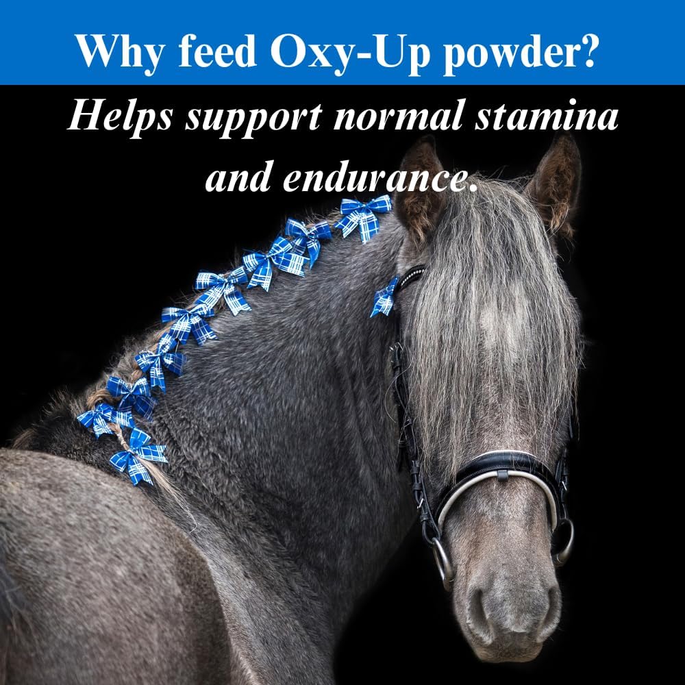su-per-oxy-up-performance-horse-suppleme-5.jpg