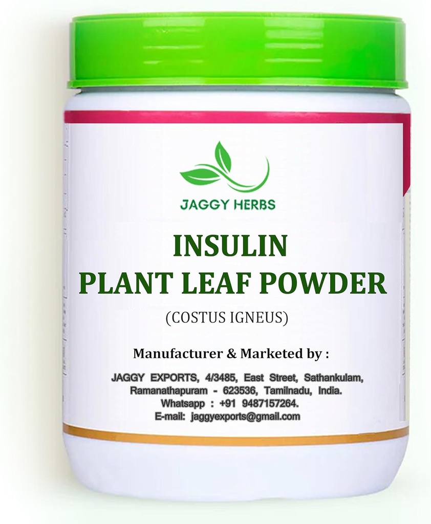 generic-jaggy-natural-insulin-plant-leaf-3.jpg