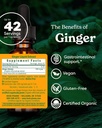 herb-pharm-certified-organic-ginger-liqu-2.jpg